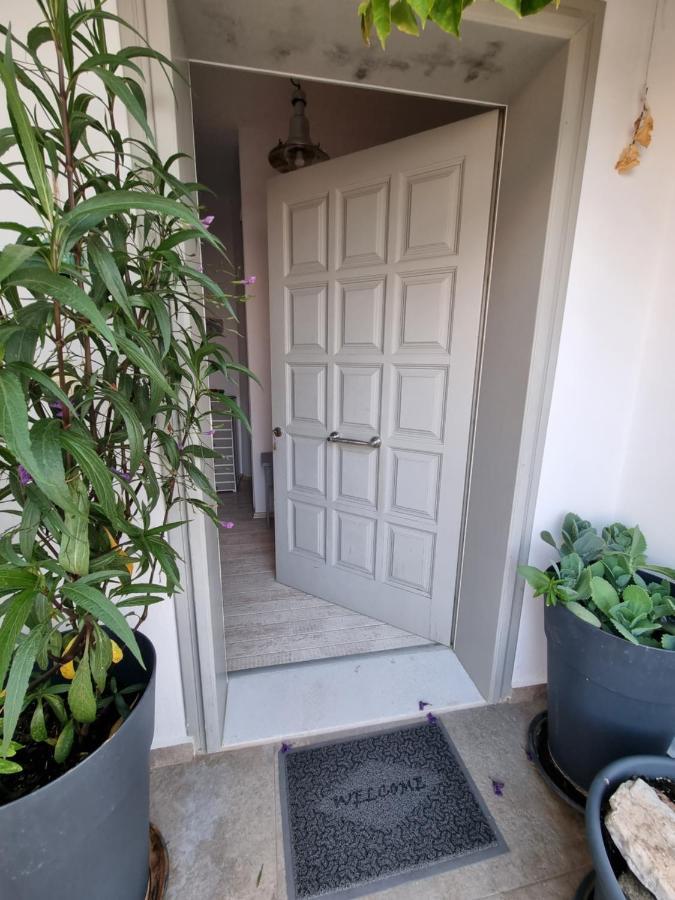 Hara'S Villa In Naousa , Paros 외부 사진
